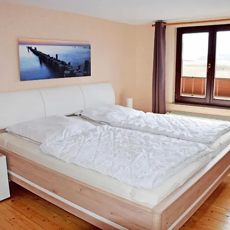 Daire Mit Reetdach Und Seebli Groß Zicker