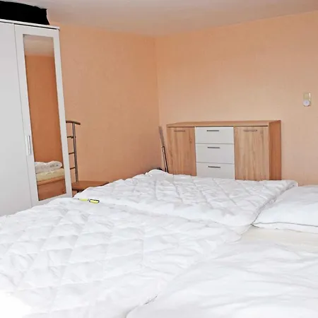 Daire Mit Reetdach Und Seebli Groß Zicker