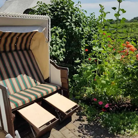 Daire Mit Reetdach Und Seebli *