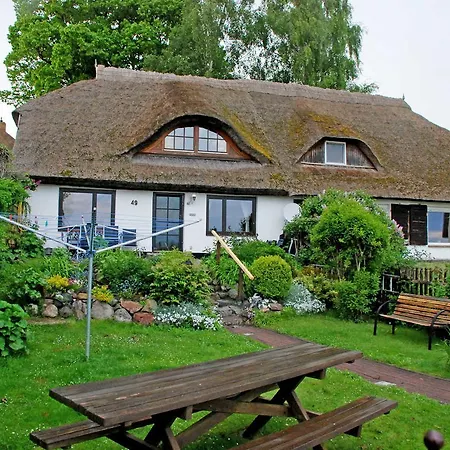 Daire Mit Reetdach Und Seebli