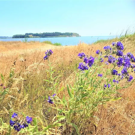 Mit Reetdach Und Seebli Daire Groß Zicker